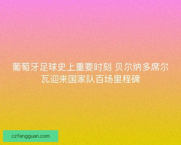 葡萄牙足球史上重要时刻 贝尔纳多席尔瓦迎来国家队百场里程碑